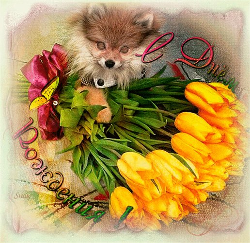 Анимированная открытка день рождения