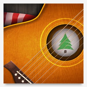 Guitar+ 420141001