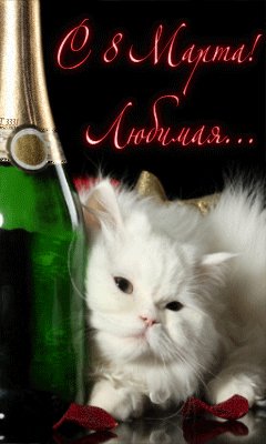 file_28421212