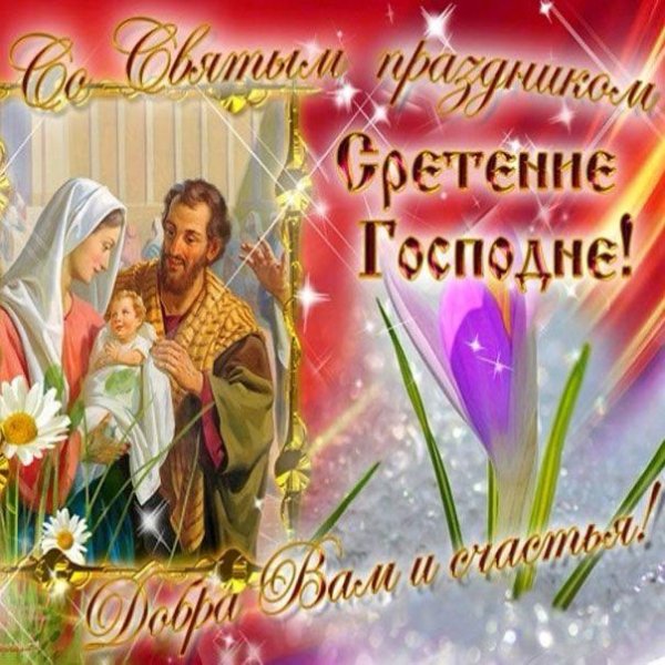 IMG-20250215-WA0005