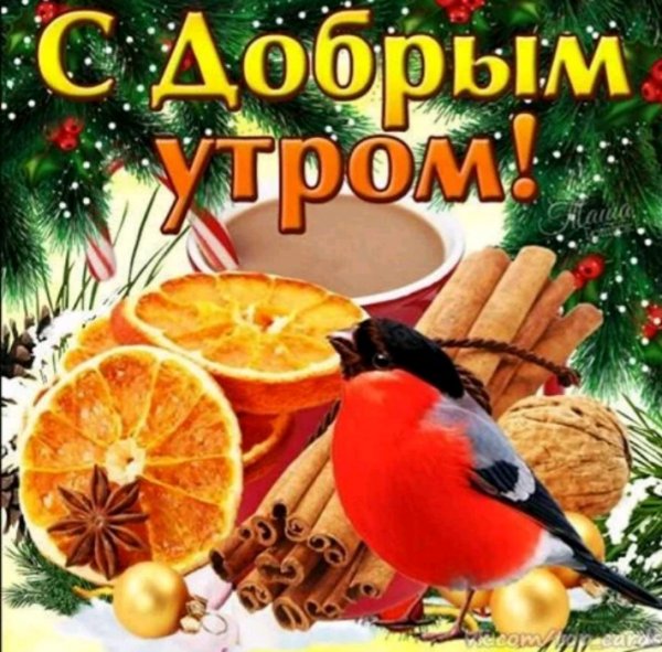 S dobrym utrom