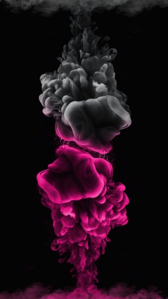 p167661