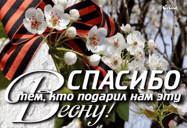 IMG 20240509 011727