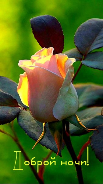 file_76435658