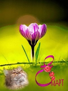 file_67752262