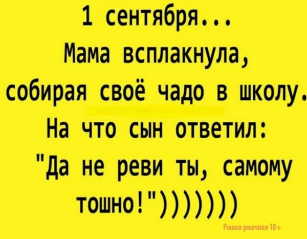 file_103331229
