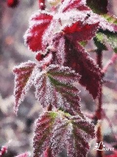 file_59320445