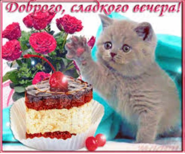 IMG 20190814 205344