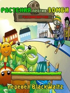 Plants vs zombies zombi