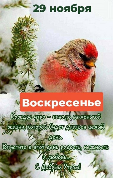 С добрым утром