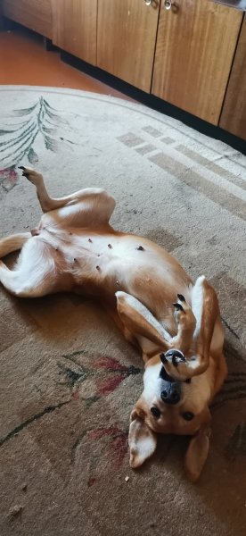 ESXFDGDDCGDCGHGCVKEBTT0