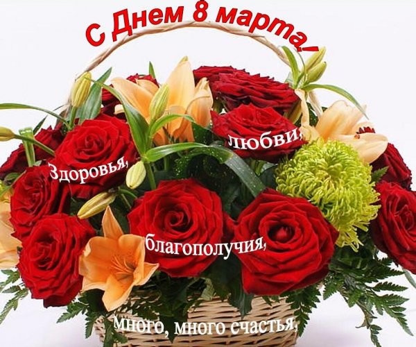 IMG 20210308 173356