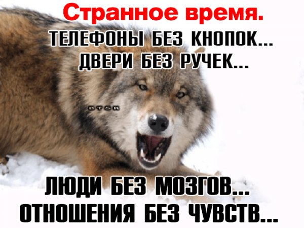 IMG 20190710 220325