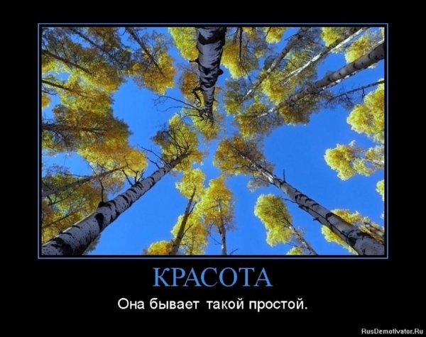 КРАСОТА