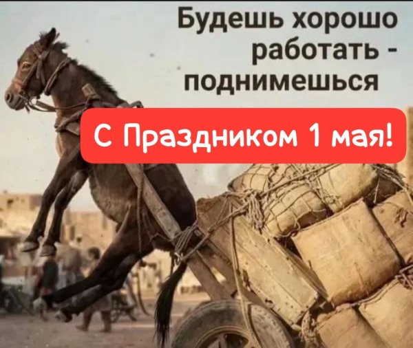 IMG 20260502 045412