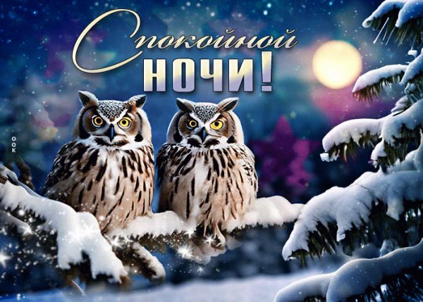 Спокойной ночи