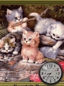 Kute kitty anim
