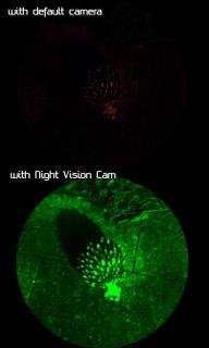 Night Vision Camera
