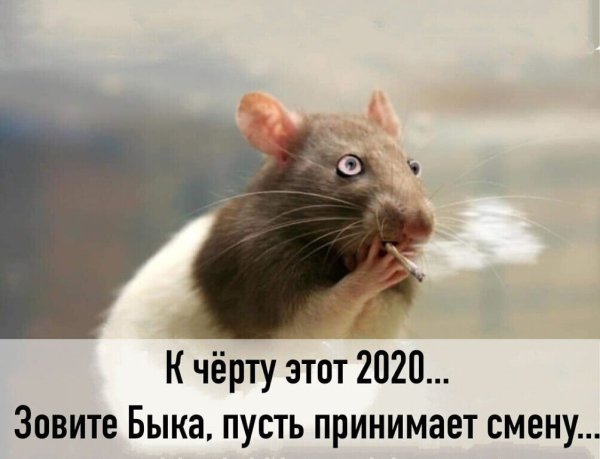 file_83388512