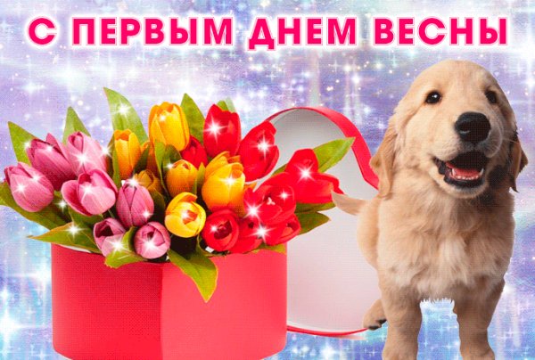 С первым днем весны