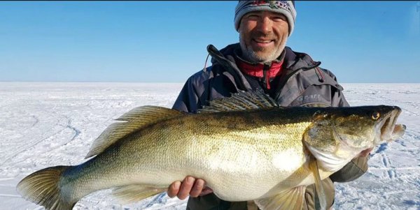 IMG 20231217 082334 914