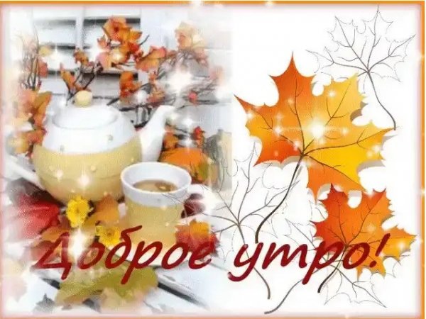 IMG 20191101 070957