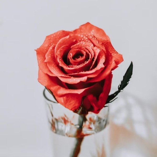 file_94766303