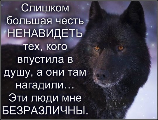 image (4)