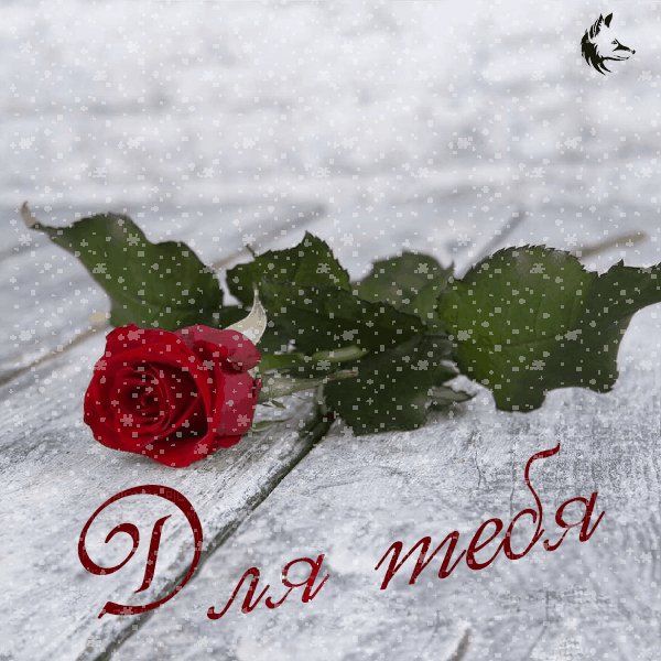 для тебя