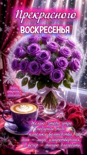 IMG 20260427 222055
