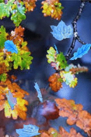 file_74796890
