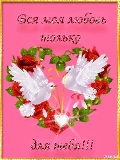 file_36204941