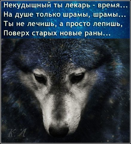 image (28)