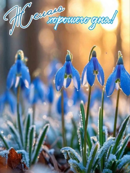 IMG 20260418 171445 903