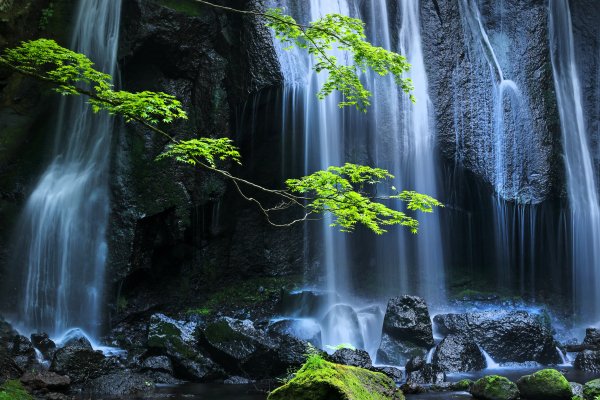 Tatsuzawa-fudo-falls-japan-iaponiia-vodopad-kamni-vetki