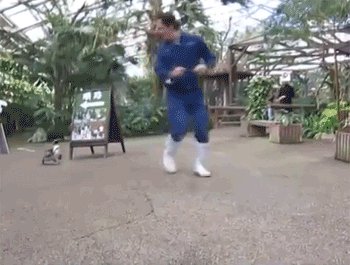 пингвинёнок, погладь меня