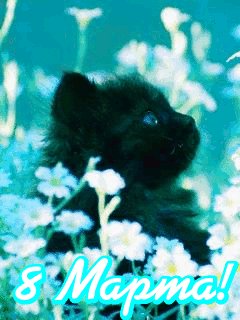 file_67765260