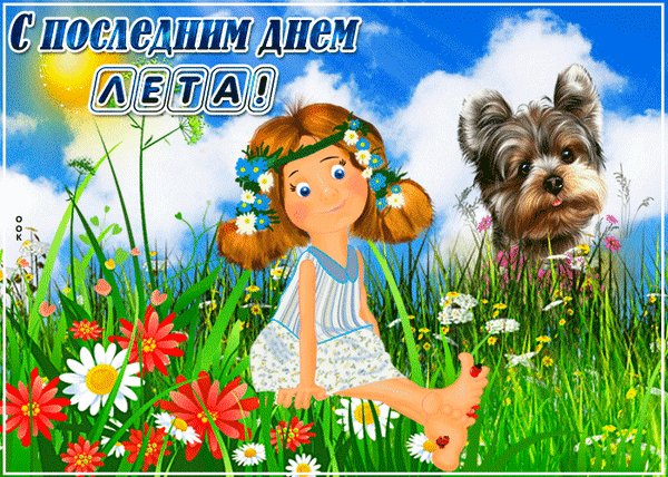 До свидания лето