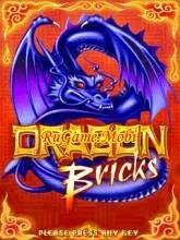 DragonBricks en
