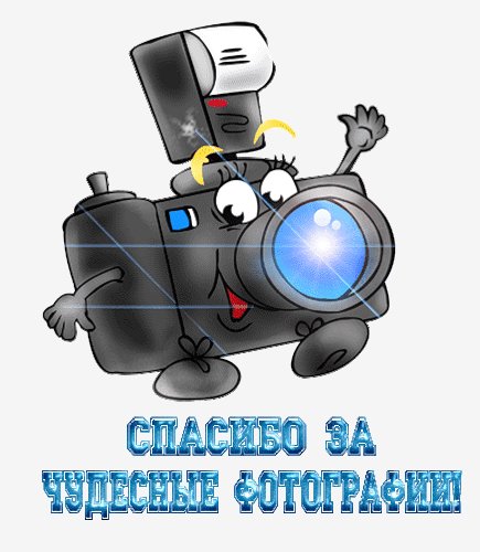 Спасибо за чудесные фотографии!