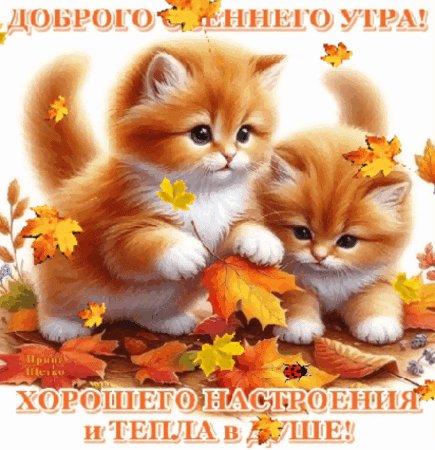 Анимированная открытка доброго осеннего