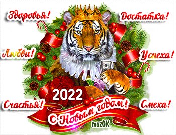 5e4066d6d72dc45234ed392187430277