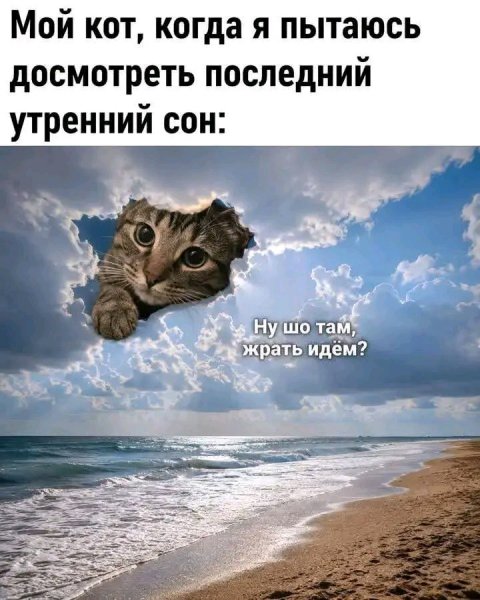 file_103260801