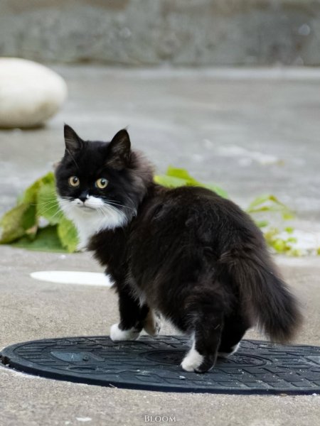 T4s0BNJbs9fiM-Q2sKi8-Opjaa5dXDBgxmxw8RAH4bDuaVrfg17O5RGnhL4E