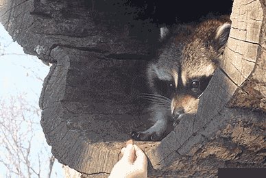 2f611f29ea83b174e87b82ffb7a59b5a1651cac5