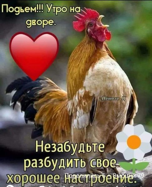 Утро на дворе