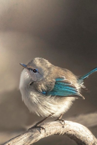 74f7d0caa8d7718790a4e433f726e47c