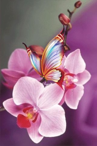 file_49689786