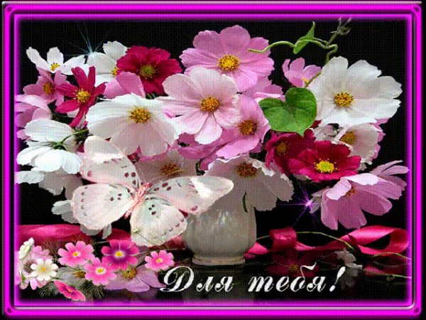 ba1183ce713134fe9b78e48aef0f36c4