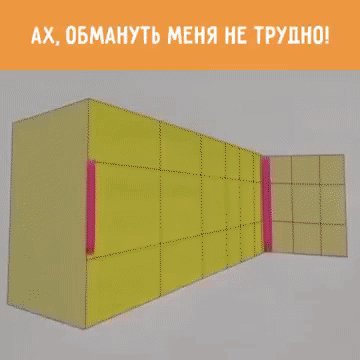 gif 1476825454